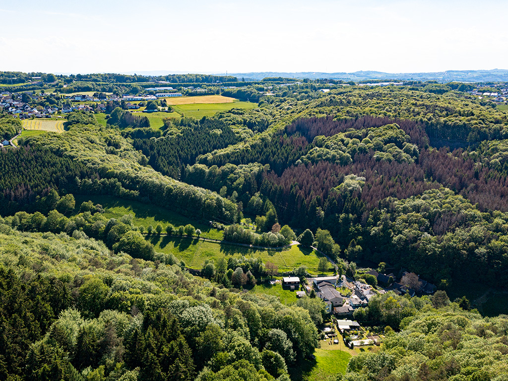 Das Tal des Altenhütterbachs